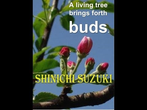Click to play on YouTube